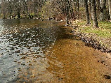 Bed and Breakfast in Jeleniewo (Podlaskie) or holiday homes and vacation rentals