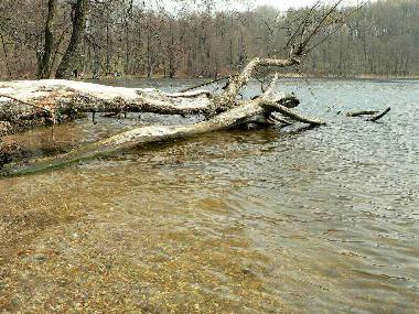 Bed and Breakfast in Jeleniewo (Podlaskie) or holiday homes and vacation rentals