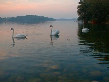 Bed and Breakfast in Jeleniewo (Podlaskie) or holiday homes and vacation rentals