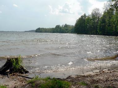 Bed and Breakfast in Jeleniewo (Podlaskie) or holiday homes and vacation rentals