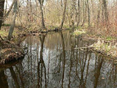 Bed and Breakfast in Jeleniewo (Podlaskie) or holiday homes and vacation rentals