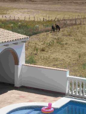 Chalet in Vejer (Cdiz) or holiday homes and vacation rentals