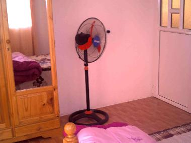 Holiday House in SAVANNE (Savanne) or holiday homes and vacation rentals