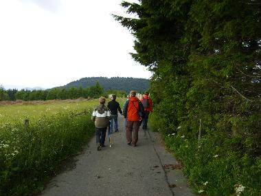 Holiday House in Winterberg-Langewiese (Sauerland) or holiday homes and vacation rentals