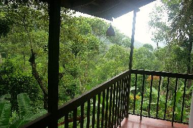 Bed and Breakfast in Thekkady (Kerala) or holiday homes and vacation rentals