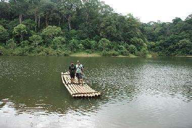 Bed and Breakfast in Thekkady (Kerala) or holiday homes and vacation rentals