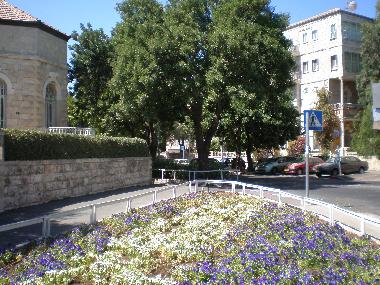 Bed and Breakfast in jerusalem (Yerushalayim (Jerusalem)) or holiday homes and vacation rentals