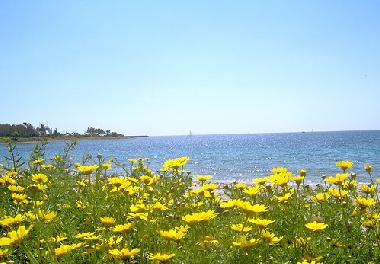 Holiday House in Marina Residence (Cagliari) or holiday homes and vacation rentals