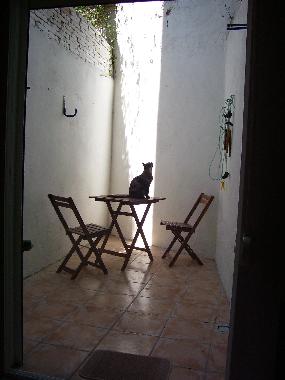 The patio with a special guest. Pets are welcome with prior consent.