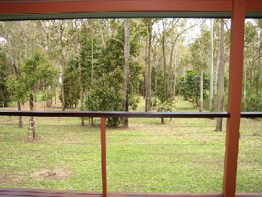 View from the veranda
