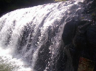 The surroundings: Malanda falls