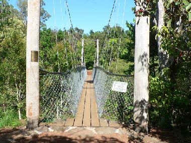 The swinging bridge over Peterson Creek, at the bottom of the garden.