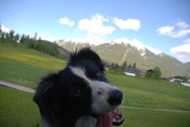 Neighbour Rory comes to play