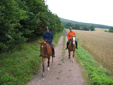Holiday Apartment in Gerstungen (Thuringian forest) or holiday homes and vacation rentals