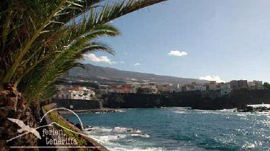 Holiday Apartment in Alkala  (Teneriffa) or holiday homes and vacation rentals