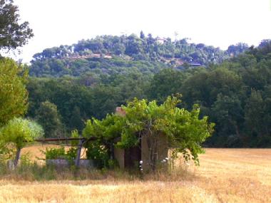 Bed and Breakfast in Massanes (Girona) or holiday homes and vacation rentals