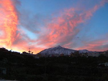 Holiday Apartment in Icod de los Vinos (Teneriffa) or holiday homes and vacation rentals