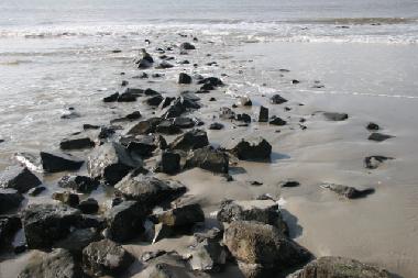 Holiday Apartment in Buren (Friesland) or holiday homes and vacation rentals