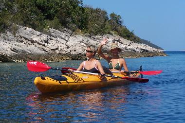 Holiday House in Maslinica (Splitsko-Dalmatinska) or holiday homes and vacation rentals