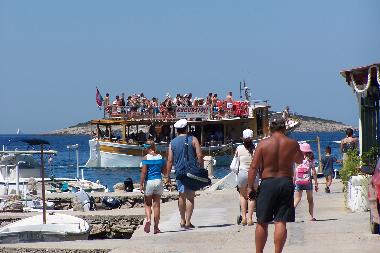 Excursions around the island Solta or to historical city Trogir