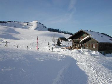 Dachstein West