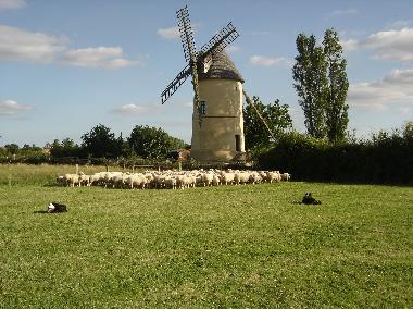 Holiday House in St Cyr Des Gats (Vend�e) or holiday homes and vacation rentals