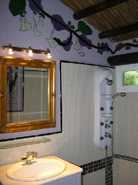 Holiday House in Marbella (M�laga) or holiday homes and vacation rentals