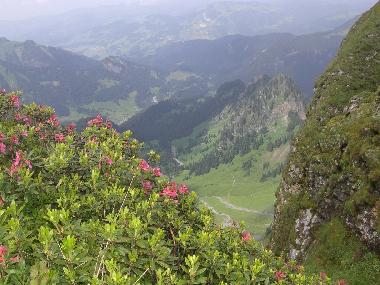 Holiday Apartment in Mellau (Bludenz-Bregenzer Wald) or holiday homes and vacation rentals