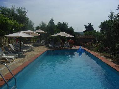 Holiday Apartment in Poggibonsi (SIENA) (Siena) or holiday homes and vacation rentals