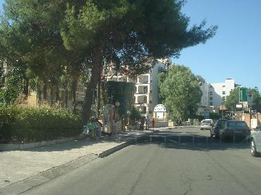 the road leading to the house