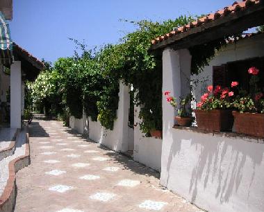 Bed and Breakfast in Procida (Napoli) or holiday homes and vacation rentals