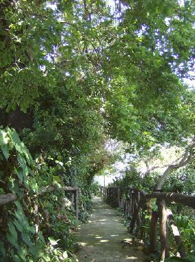 Bed and Breakfast in Procida (Napoli) or holiday homes and vacation rentals