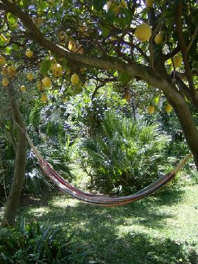 Bed and Breakfast in Procida (Napoli) or holiday homes and vacation rentals