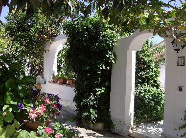 Bed and Breakfast in Procida (Napoli) or holiday homes and vacation rentals