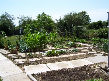 Holiday House in Montreuil Bellay (Maine-et-Loire) or holiday homes and vacation rentals