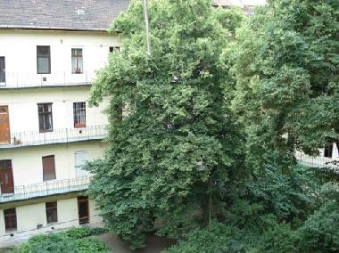 Holiday Apartment in Budapest (Budapest) or holiday homes and vacation rentals