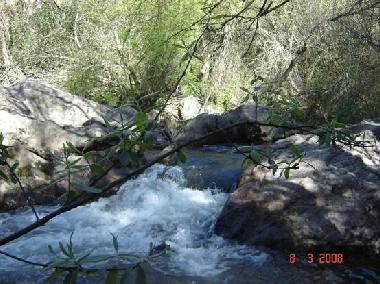 Holiday House in Jimera de Libar (M�laga) or holiday homes and vacation rentals