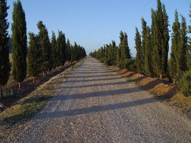 Holiday House in Antequera (Mlaga) or holiday homes and vacation rentals