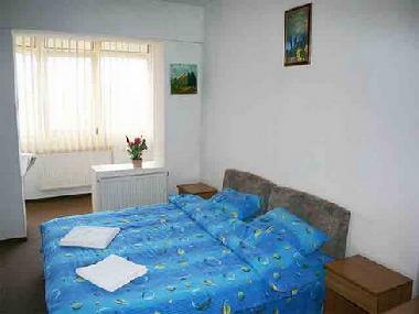 Holiday Apartment in Brasov (Brasov) or holiday homes and vacation rentals