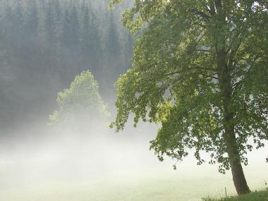 Holiday Apartment in Bad Berleburg (Sauerland) or holiday homes and vacation rentals
