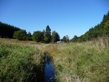 Holiday Apartment in Bad Berleburg (Sauerland) or holiday homes and vacation rentals