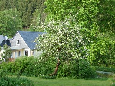 Holiday Apartment in Bad Berleburg (Sauerland) or holiday homes and vacation rentals