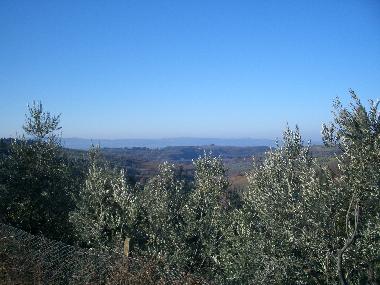 Holiday House in Borgo Chianti (Firenze) or holiday homes and vacation rentals