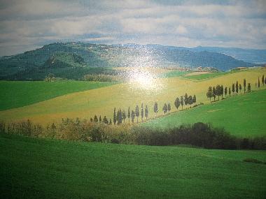 Holiday House in Borgo Chianti (Firenze) or holiday homes and vacation rentals