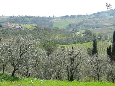 Holiday House in Borgo Chianti (Firenze) or holiday homes and vacation rentals