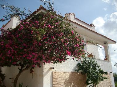 Holiday House in Balestrate (Palermo) or holiday homes and vacation rentals