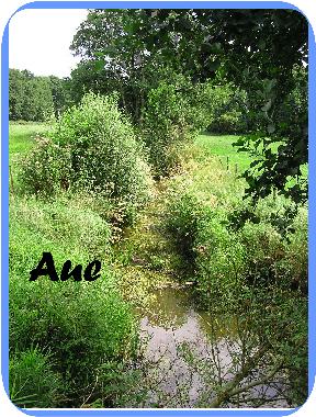 Holiday House in Wietzendorf (Lneburger Heide) or holiday homes and vacation rentals