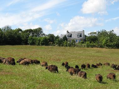 Holiday House in Riec sur Belon (Finist�re) or holiday homes and vacation rentals