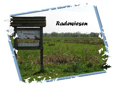 Holiday House in Wietzendorf (Lneburger Heide) or holiday homes and vacation rentals