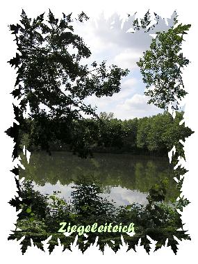 Holiday House in Wietzendorf (Lneburger Heide) or holiday homes and vacation rentals
